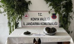 Konya'daki uyuşturucu operasyonlarında 10 kişi tutuklandı