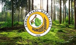 Orman Genel Müdürlüğü 12 müfettiş yardımcısı istihdam ediyor!