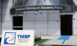 Tera Yatırım Teknoloji Holding’e TMSF Ataması!