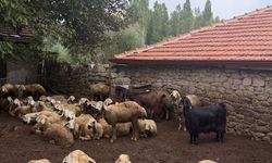 Yozgat'ta orman köylülerine destek!