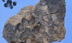 4 Bin Yıllık Kerpiçte Bulundu! Tavşanlı Höyük’te Köpek Patisinin İzleri Ortaya Çıktı