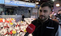 Balık tezgahlarında çeşit bolluğu