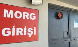 Başını ağaca çarpıp, traktörden düştü!