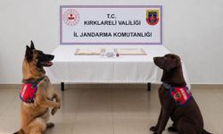 Cezaevine uyuşturucuyla girmeye çalışınca tutuklandı