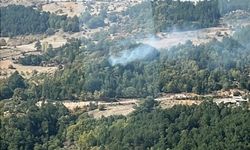 Kütahya'da ormana sıçrayan yangın söndürüldü