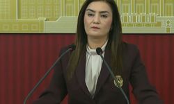 "Savaş ve barış meselelerinde Meclis seyirci bırakılmamalı"