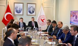 Sokak Hayvanları İçin Üst Düzey Zirve