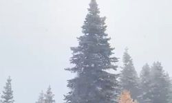 Uludağ'da kar yağdı!