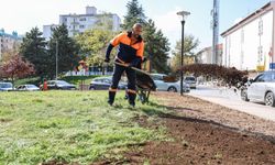 Çankaya’da Anayasa Parkı yenileniyor: Yeşil alan çalışmaları sürüyor