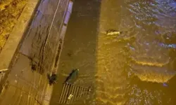 Kağıthane Deresinde Erkek Cesedi Bulundu! Sel İhtimali Üzerinde Duruluyor