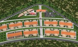 Altındağ'da sokak hayvanları için yeni merkez