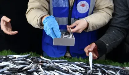 Altındağ'da balık tezgahları denetimde!