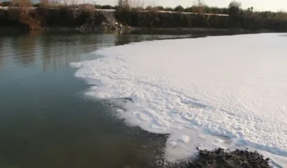 Ceyhan Nehri’nde balıklar ölüyor