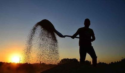 Çiftçilere 985 milyon TL tarımsal destekleme ödemesi