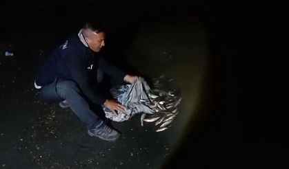 Van Gölü’nde kaçak avcılığa geçit yok