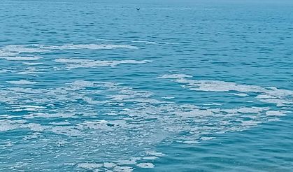 Marmara'da müsilaj!