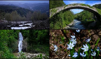 Rize ziyaretçilerini bekliyor!
