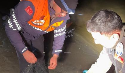 3 ton 820 kilo inci kefali ele geçirildi