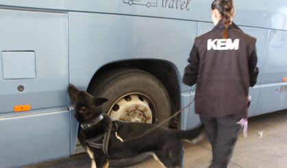 77 kilo uyuşturucu hapı Neptun buldu