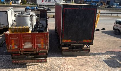 Kraliçe arılara el konuldu