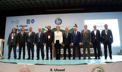 Türkiye'nin yaban hayatı Van'da konuşuyor