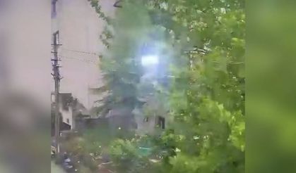 Bartın'da  ağaçlar rüzgara teslim oldu