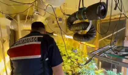 Samsun'da evinde kenevir yetiştirdiği ortaya çıktı