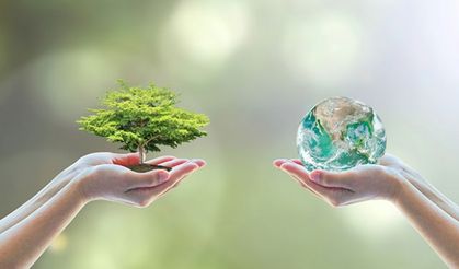 5 Haziran Dünya Çevre Günü Nedir?