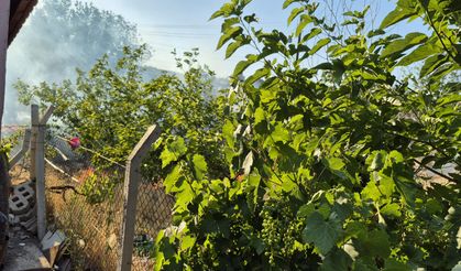 Bahşılı'da ot yangını çıktı