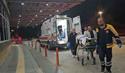 Sahipsiz Köpekler Motosikletli Adama Saldırdı