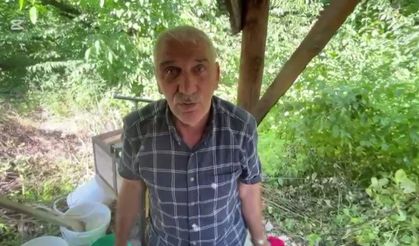 Dut pekmezi geleneği yaşatılmaya devam ediyor