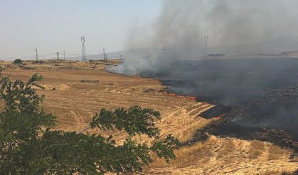 Gaziantep’te anız yangını çıktı!