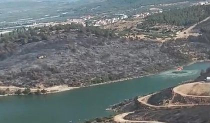 Manisa'daki orman yangını devam ediyor