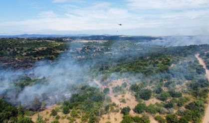 Orman yangını 20,5 saat sonra söndürüldü