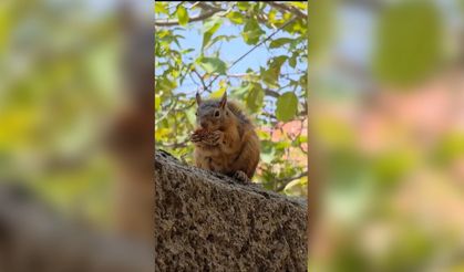 Sincap Osmaniye'nin meşhur yemeğinden yedi!