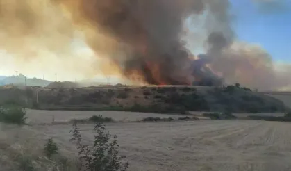 Bilecik'te orman yangını