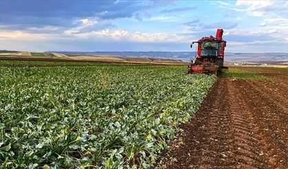 ABB ve Beypazarı Belediyesinden çiftçilere nakit desteği