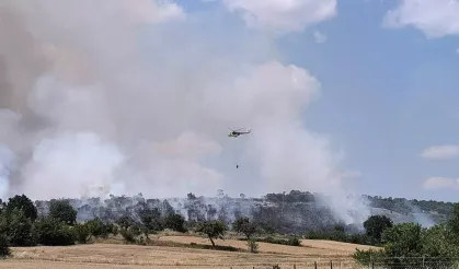 Edirne'de orman yangını