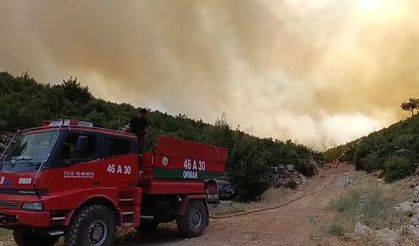 Gaziantep'te orman yangını meydana geldi