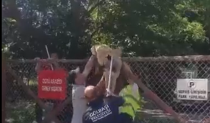 Gölbaşı Belediyesi Ekiplerinden Şok Görüntüler!