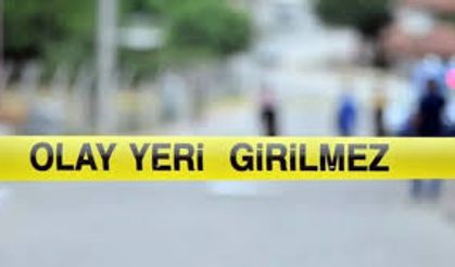 Çıkan kavgada başına darbe aldı