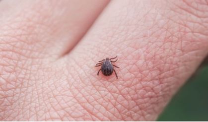 Etimesgut Belediyesi; "Endişeye gerek yok!"