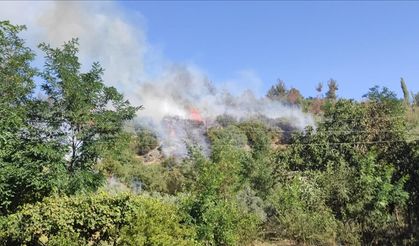 Osmaniye'de Otoyol Kenarındaki Çalılık Yangını Söndürüldü