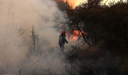 Ankara Mamak'ta korkutan yangın!
