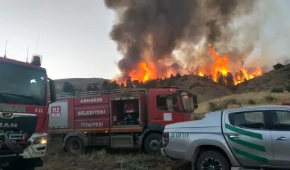 Afyonkarahisar'da orman yangını söndürüldü