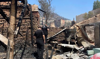 Bakan Kurum Sakarya'daki orman yangınına ilişkin ne dedi?