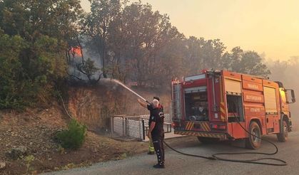 Akhisar'daki orman yangını kontral altına alındı!