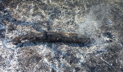 Amasya'da 3 hektar orman yandı