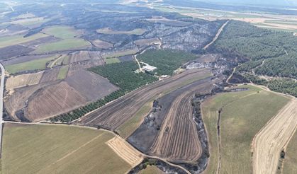 Çanakkale'de 85 hektar orman yandı