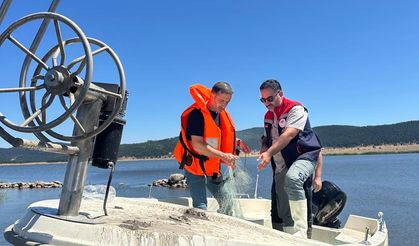Gölde 2,5 kilometre uzunluğunda ağ yakalandı